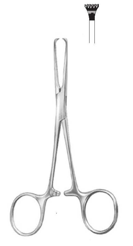 Allis-Baby Tissue Forcep - Stainless Steel 14cm 3x4 Teeth | Delicate Handling Polished Autoclavable