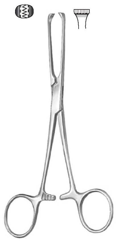 ALLIS-TISSUE FORCEP