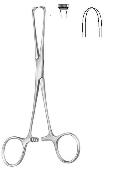 BOYS-ALLIS TISSUE FORCEP - Stainless Steel 15 cm 5x6 Teeth | Curved Sharp Ends Durable Autoclavable Precise Handling