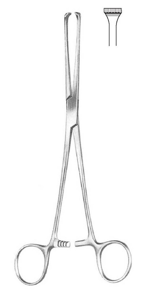 Thoms-Aliss Tissue Forcep