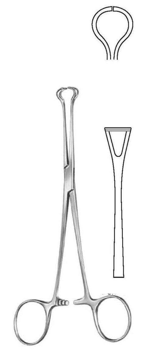 BABCOCK-TISSUE FORCEP