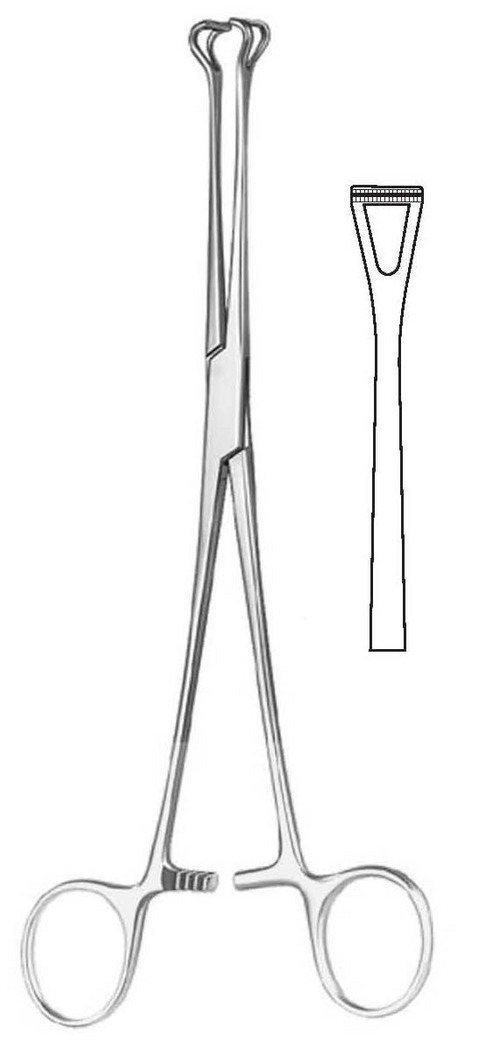 BABCOCK INTESTINAL FORCEP