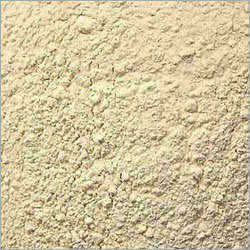 Garlic Powder - Dehydrated Garlic, Off-White | Flavor Enhancer, Versatile Seasoning, Long Shelf Life