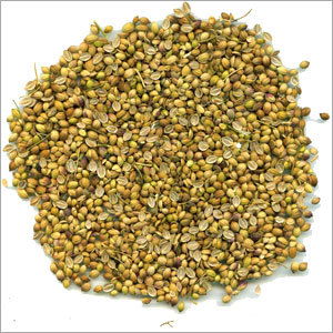 Split Coriander Seeds