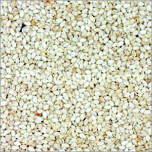 White Sesame Seeds