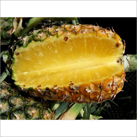 Fresh Pineapple