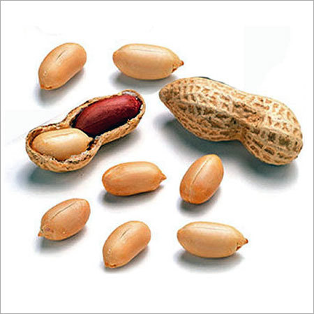Ground Nut