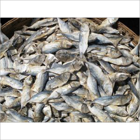 Dry Fish