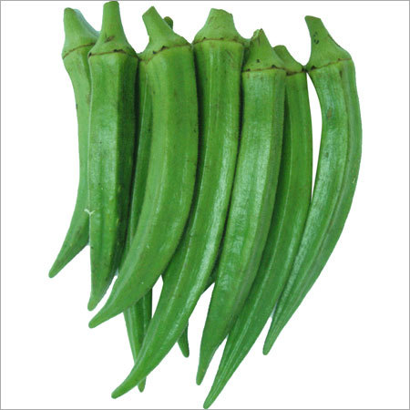 Lady Finger