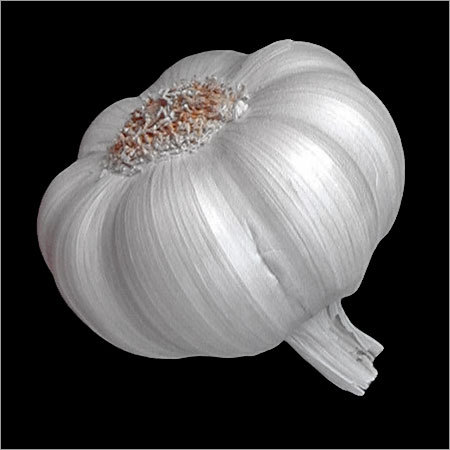 Fresh Garlic