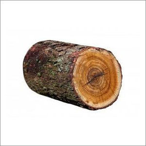 Wood Log Wood Log Exporter Importer Service Provider Supplier Trading Company Chennai India