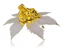 Star leaf with golden ganesh