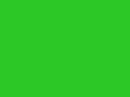 Pigment Green - B (807)