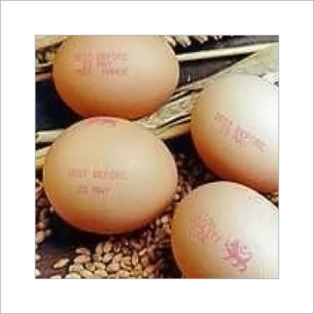 Design Coding Services