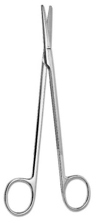 Nelson (Metzenbaum) Diss. Scissor