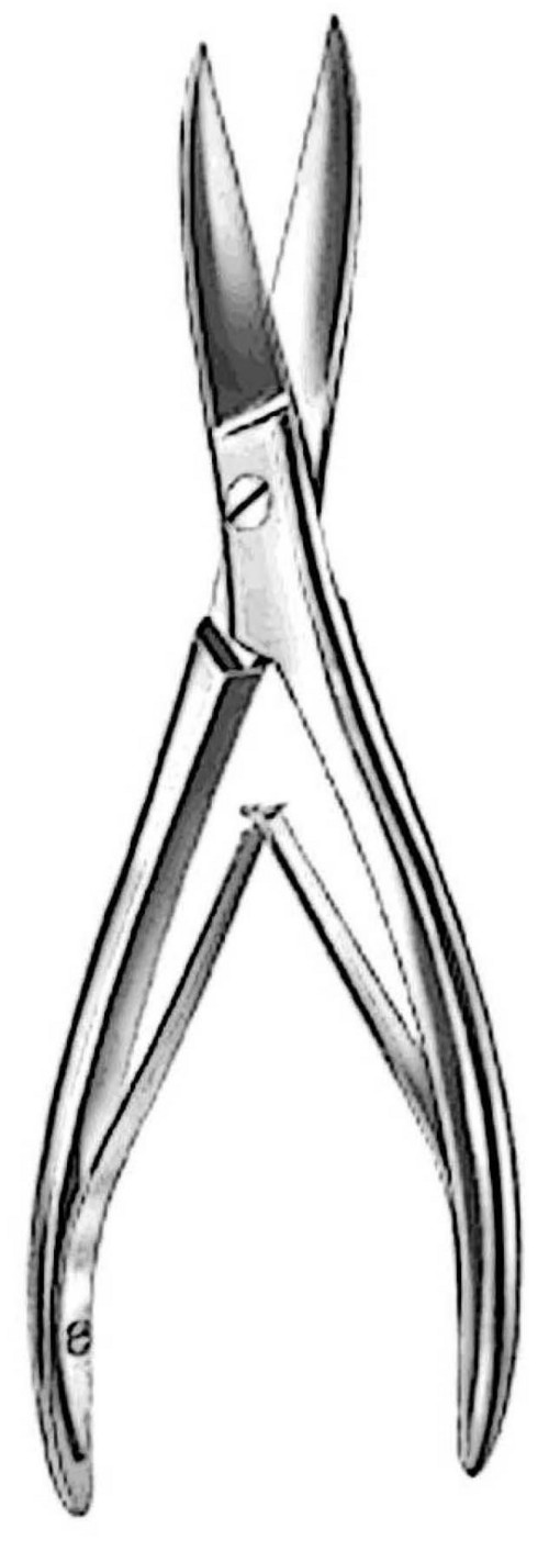 BONE SCISSORS