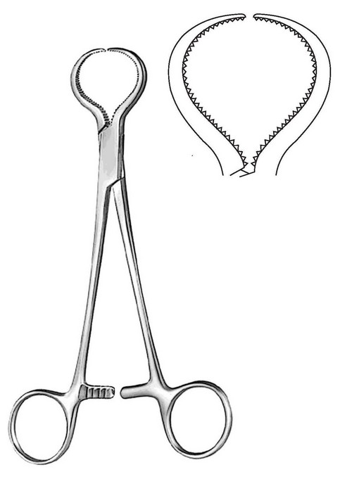 Lewin Bone Holding Forcep