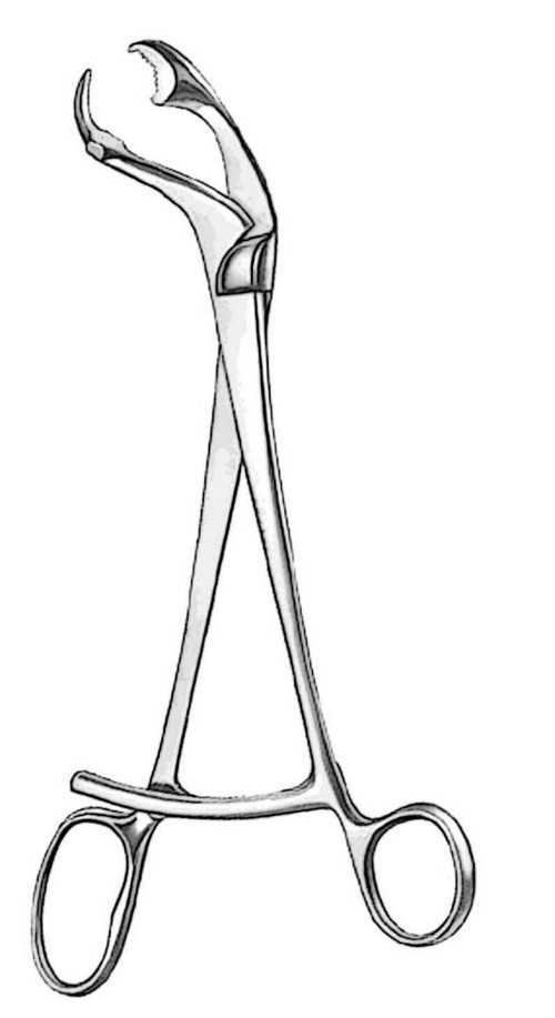 Verbrugge Bone Holding Forcep