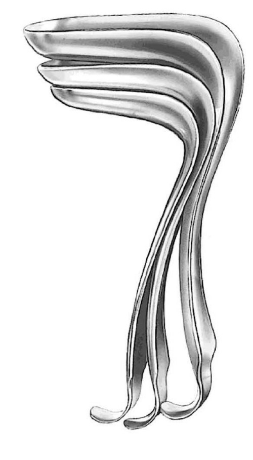 KRISTELLER VAG. SPECULUM