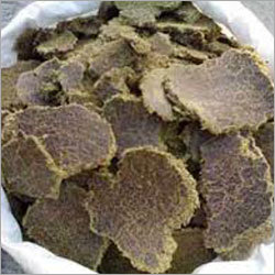 Cotton Seed Oil Cake