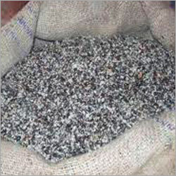 Organic Cotton Seeds