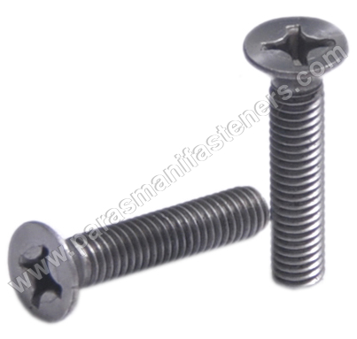 CSK Phillips Screw