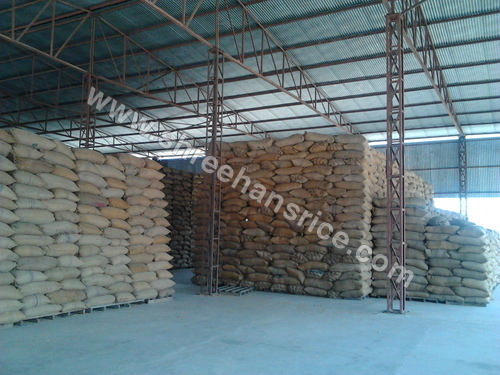 Rice