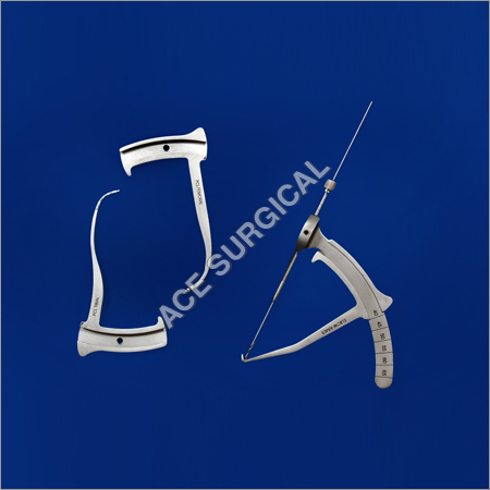 Anterior Cruciate Ligament