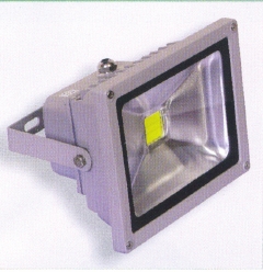Flood Light