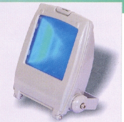 Flood Light