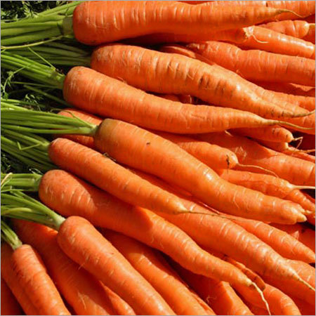 Carrot