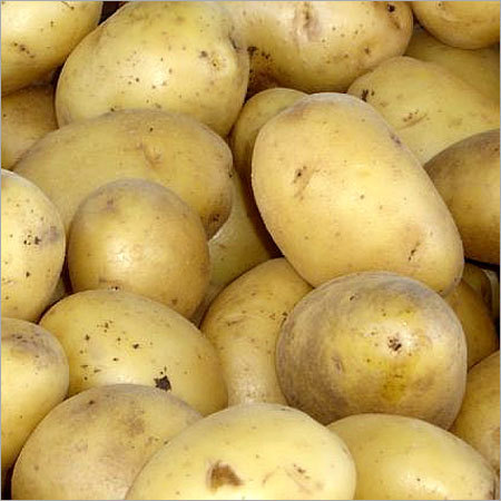 Fresh Potato