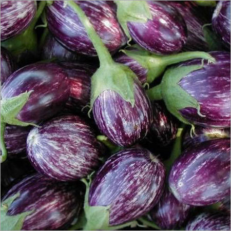 Brinjal