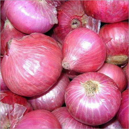 Fresh Onion