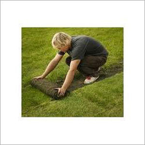 Gardening & Landscaping