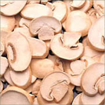 Button Mushroom