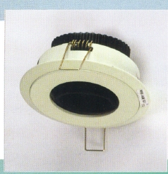 LED & Halozen Down Light
