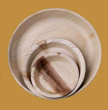 Palm Leaf plates