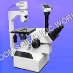 Trinocular Inverted Tissue Culture