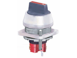 illuminated knob selector switch