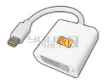 Mini Display Port Male to DVI Female (24+5) Adaptor