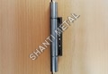 Decorative Door Hinges 