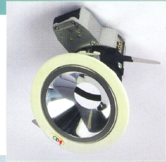 LED & Halozen Down Light