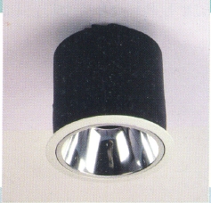 LED & Halozen Down Light