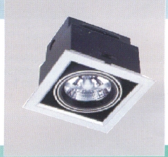 LED & Halozen Down Light