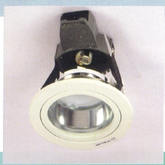 LED & Halozen Down Light