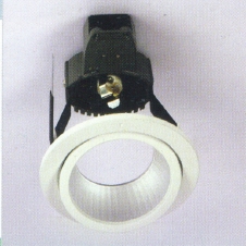 LED & Halozen Down Light