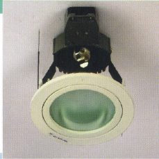 LED & Halozen Down Light