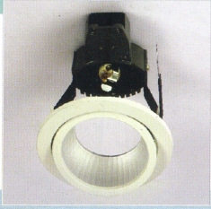 LED & Halozen Down Light