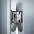 Designer Door Hinges  